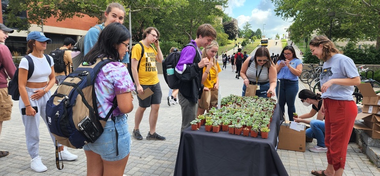 Students at succulent plant giveaway