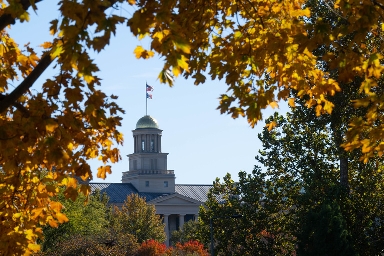 The top of the Old Capitol Building in the distance framed by tree leaves