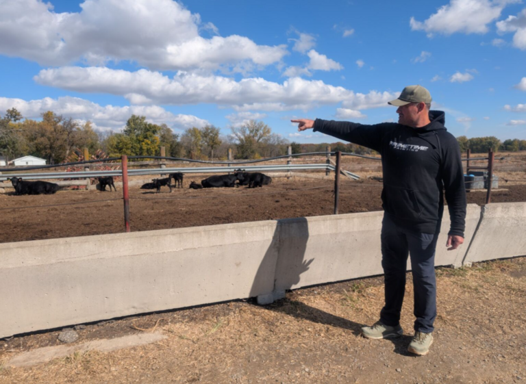 Matt Kroul points to cows in a pen.