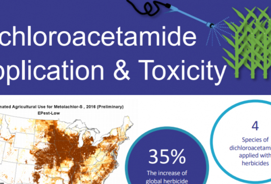 Dichloroacetamide Application & Toxicity