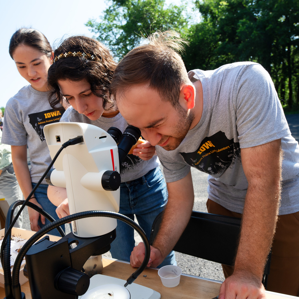 Students looking at insects through a microscope