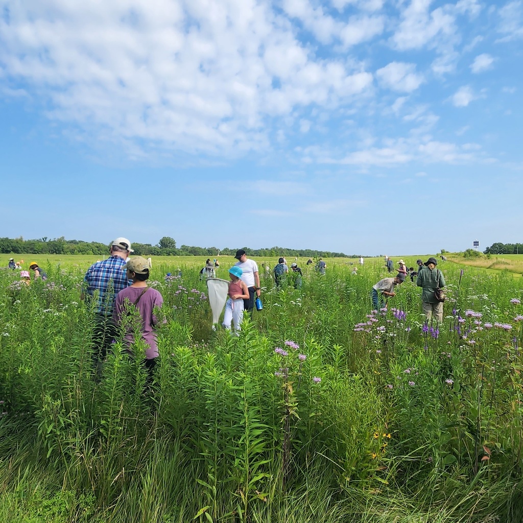 People wandering in the prairie