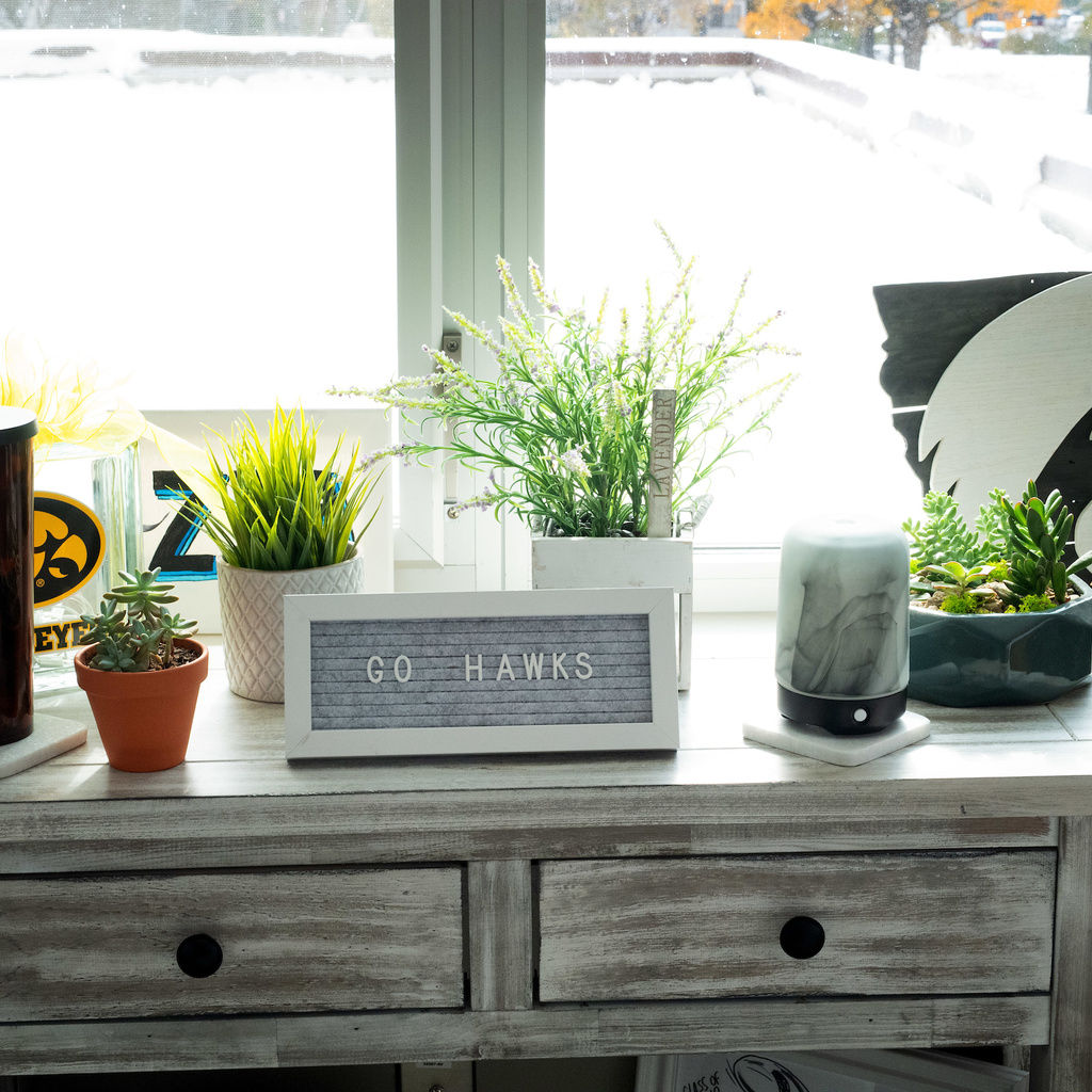Residence hall room plants and window