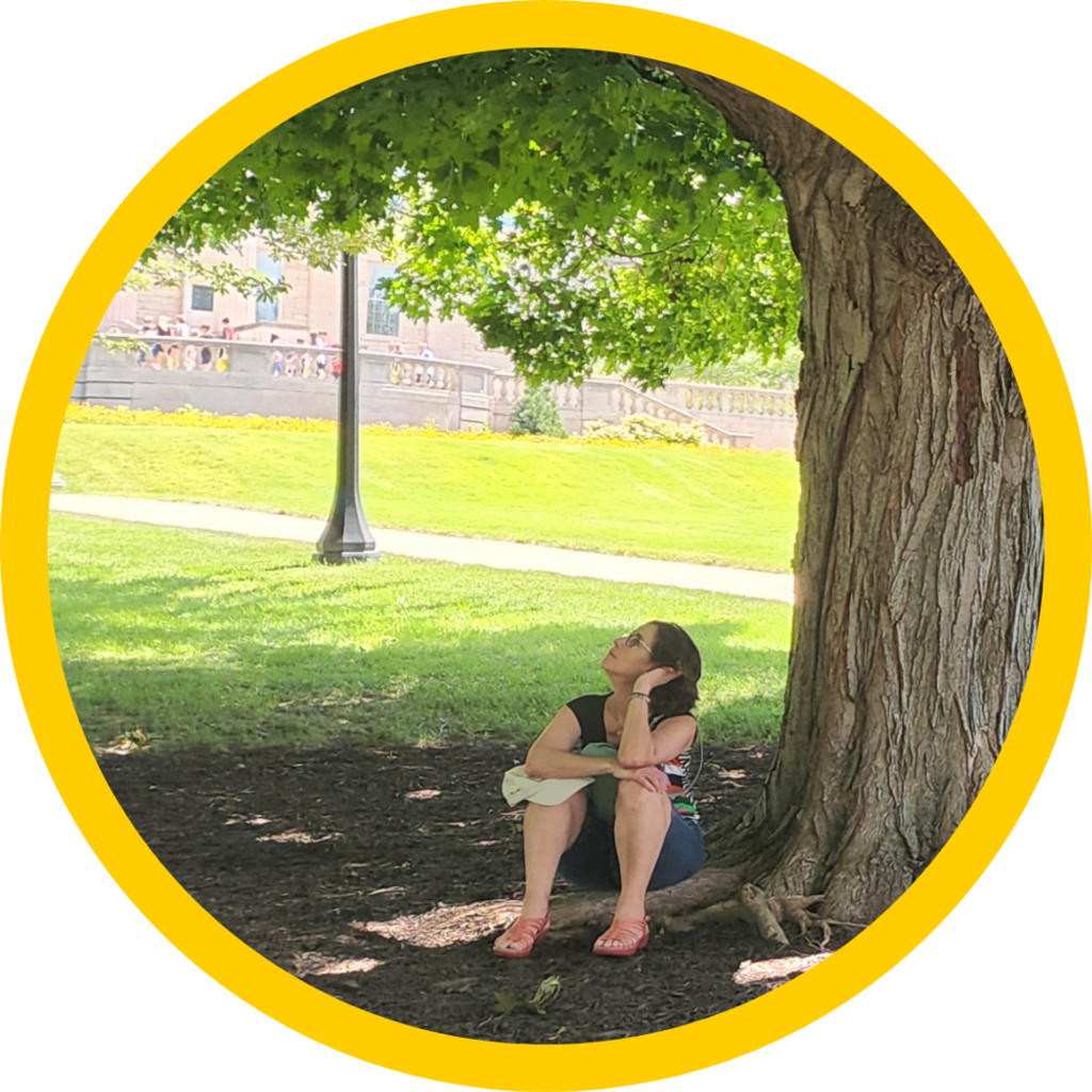 A person sitting under the Pentacrest Sugar Maple tree looking up