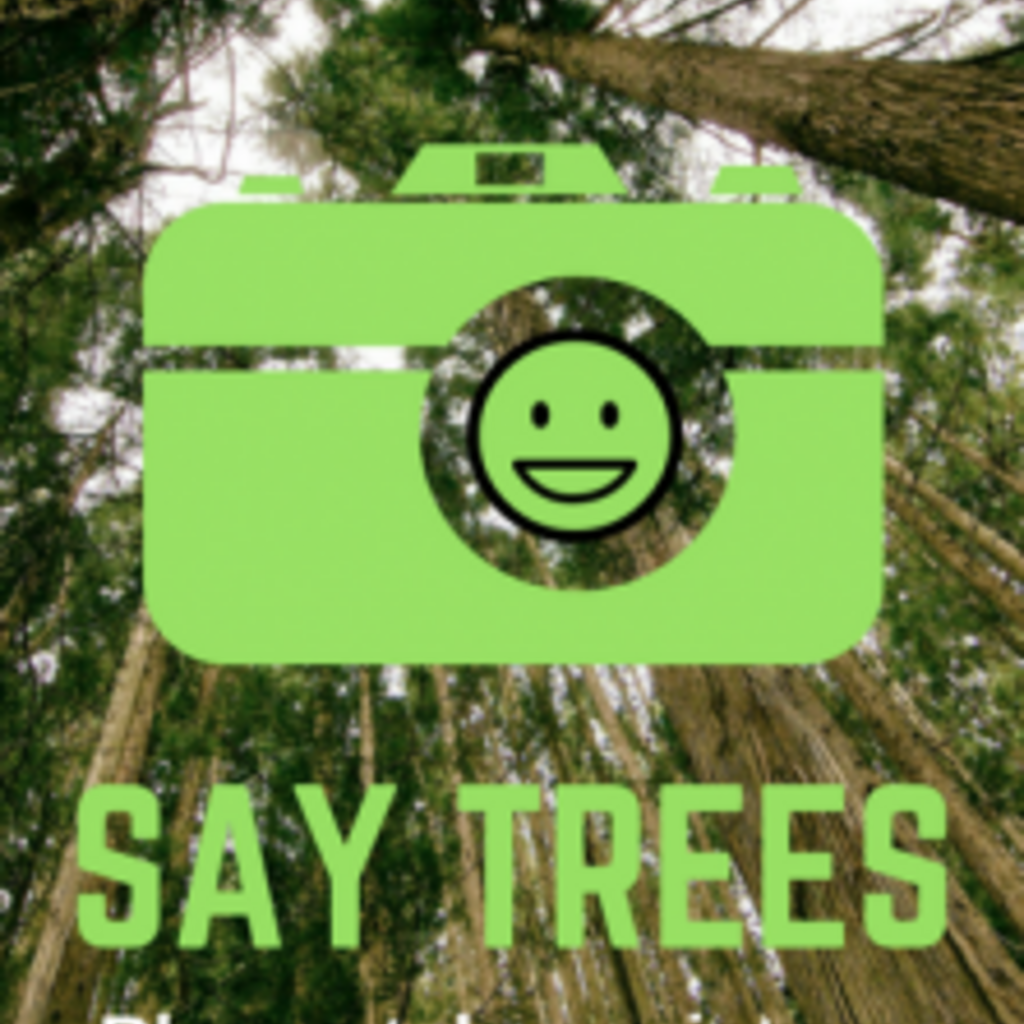 Say Trees Flyer