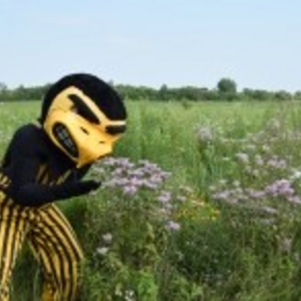 Garden Walks with Judy Herky Visits the Prairie