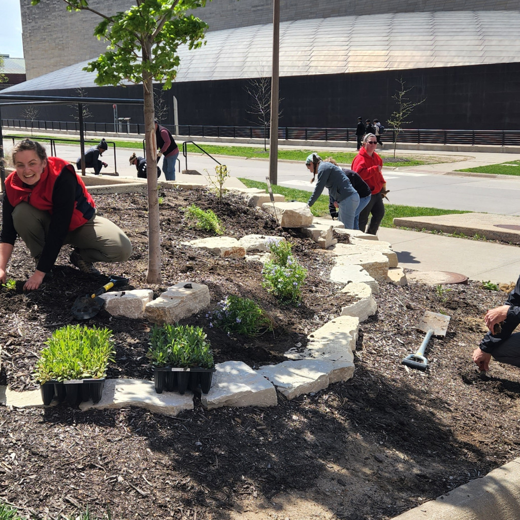New Pollinator Gardens and Student Perspectives