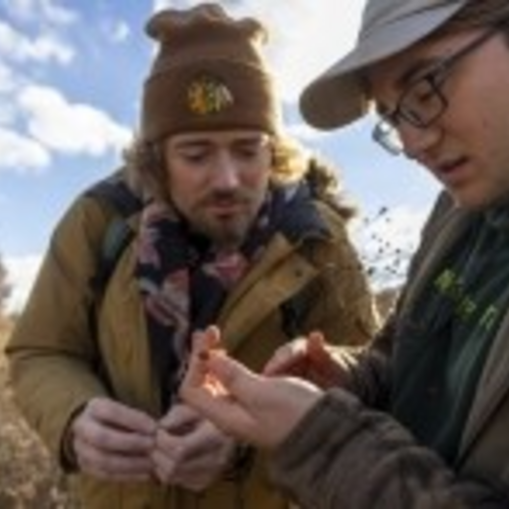 Students Restoring Prairies Across Iowa City Photo