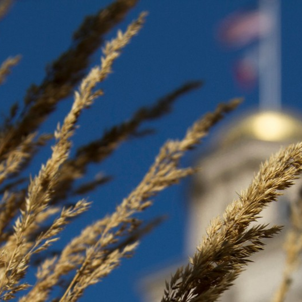 Sustainable Women's History at the University of Iowa Photo