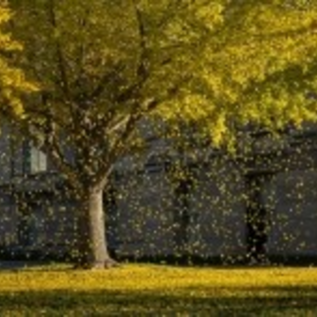 UI Receives Gold Rating for Sustainability Efforts