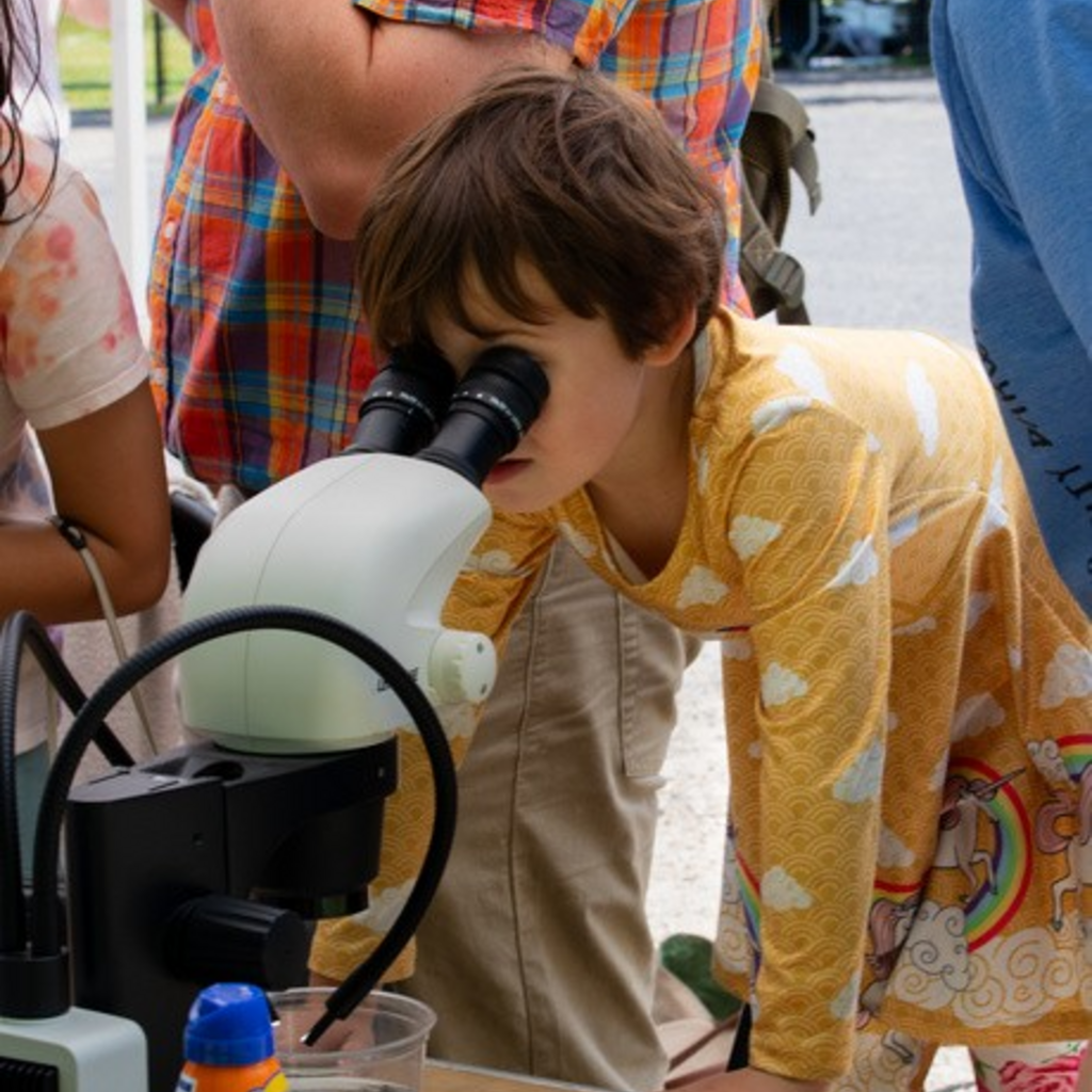Public Gathers Samples, Explores the Environment During UI BioBlitz