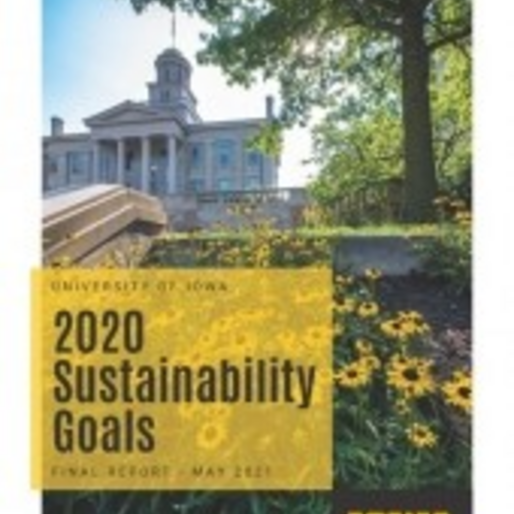 Sustainability Charter Committee 2020 Vision Report