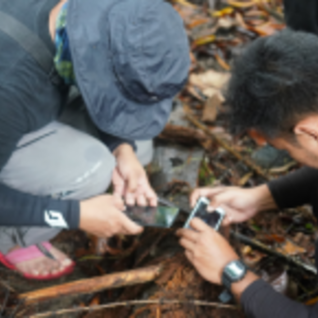 Touchscreens and Touching Grass Go Hand in Hand