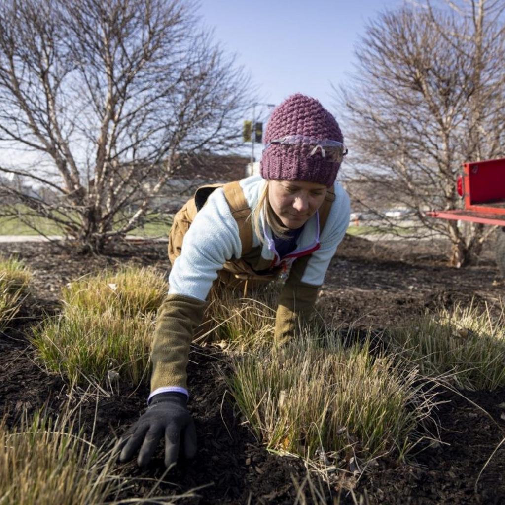 UI Landscapers, Sustainability Program Prepare for Spring