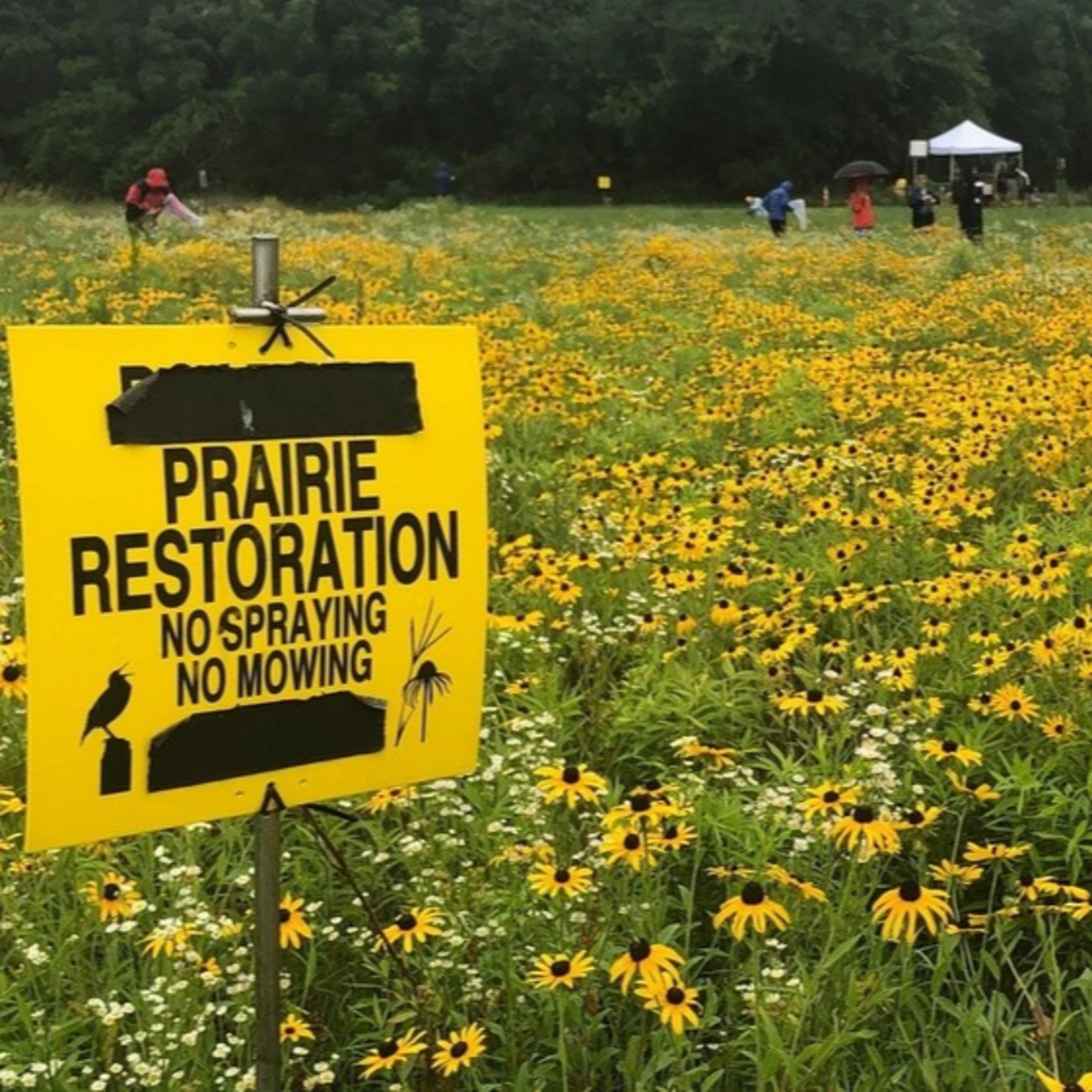 Ashton Prairie Living Lab