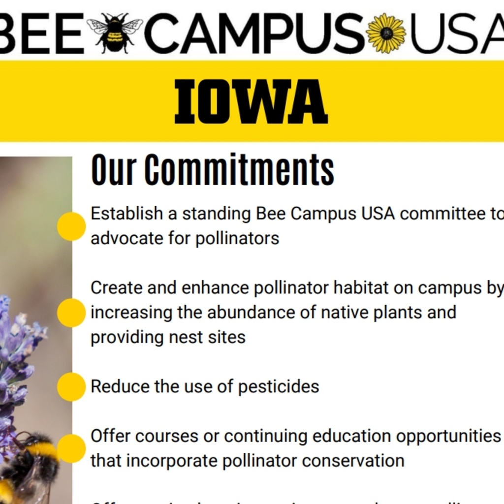 Bee Campus Commitments Flyer
