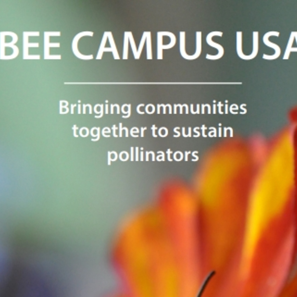 Bee Campus U.S.A. Brochure