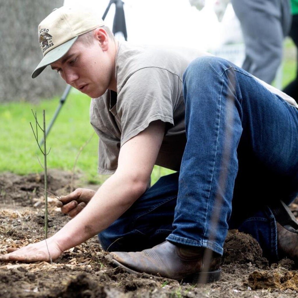 Easton Harper plants a tree during Miyawaki Forest Planting