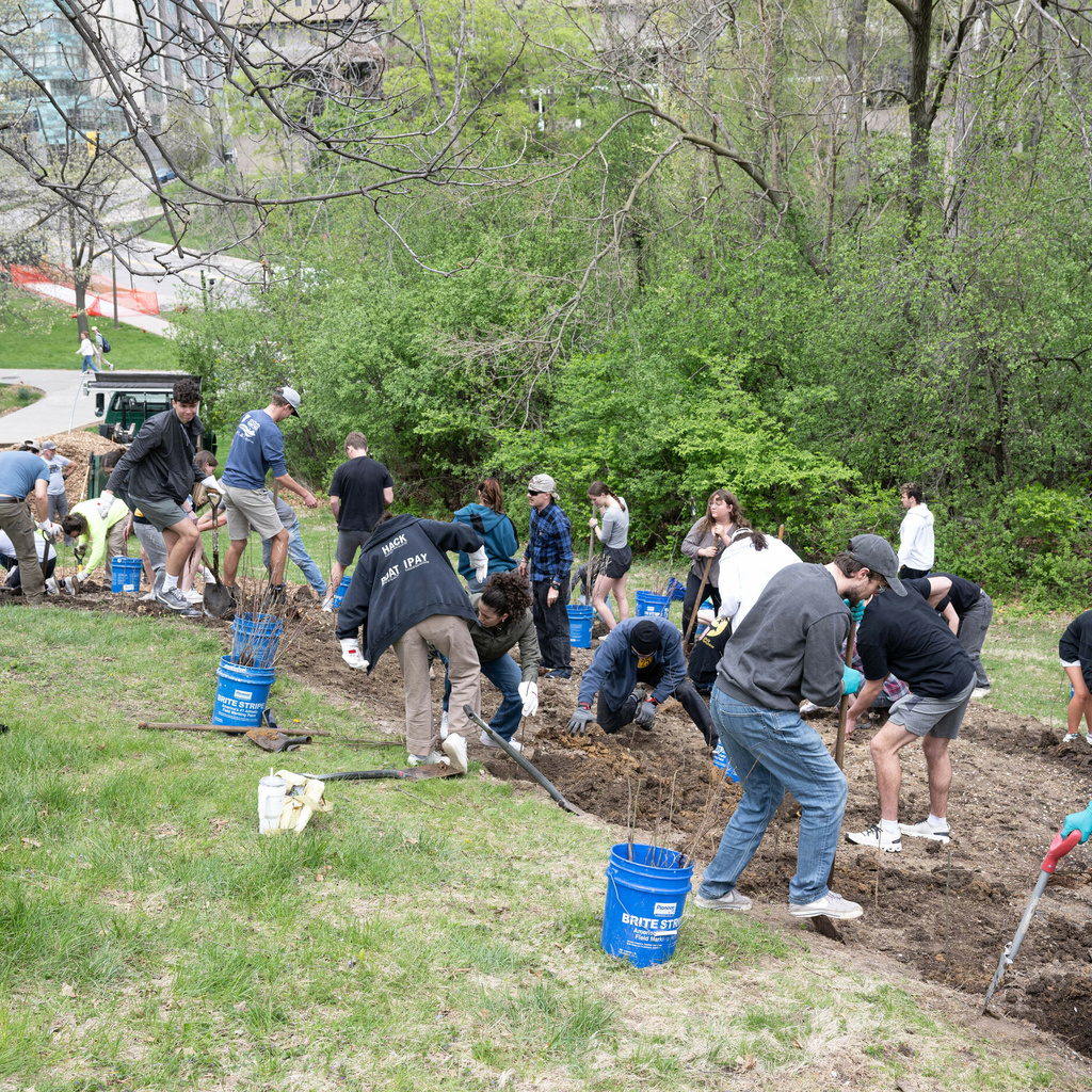 Volunteers planting Miyawaki Forest