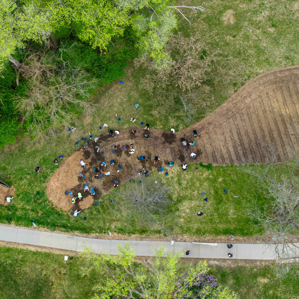 Aerial view of volunteers planting Miyawaki forest