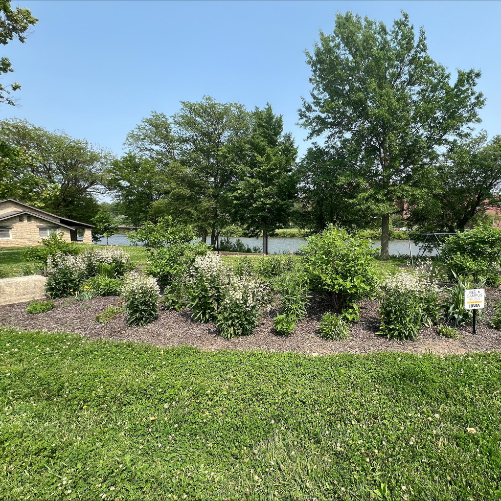 Lagoon Shelter House Pollinator Garden
