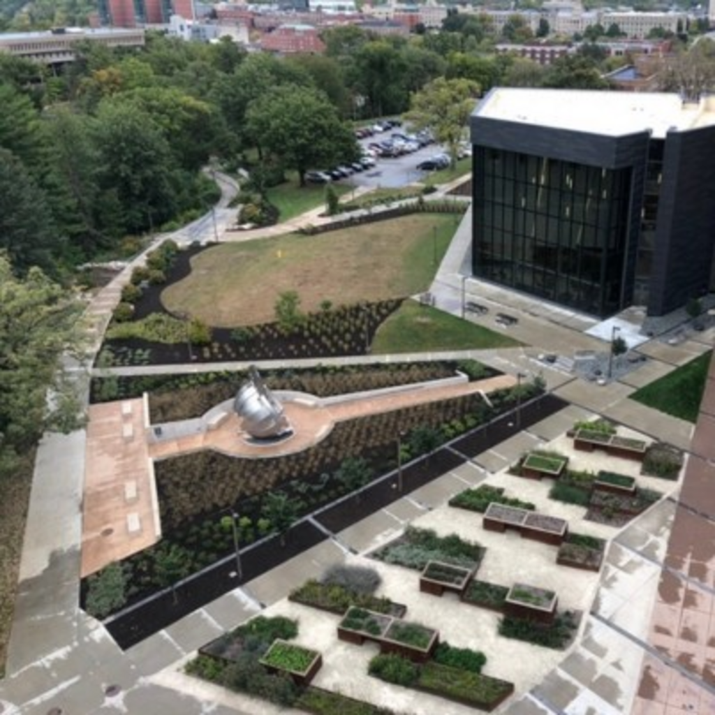 Pharmacy Building Garden