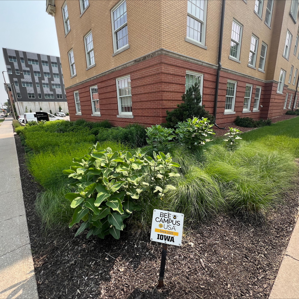 Stuit Hall Rain Garden
