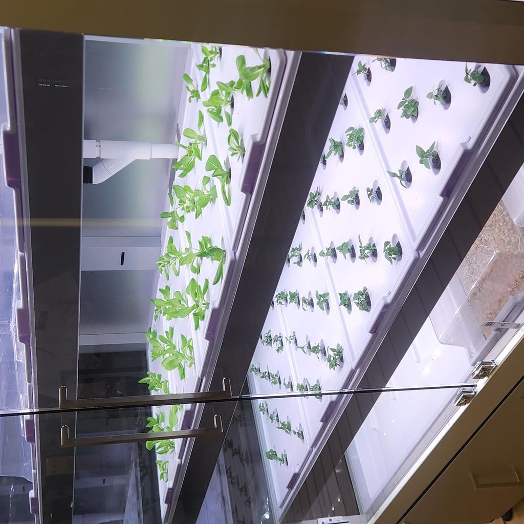 This is one of two microgardens that can be found in Burge Market Place.