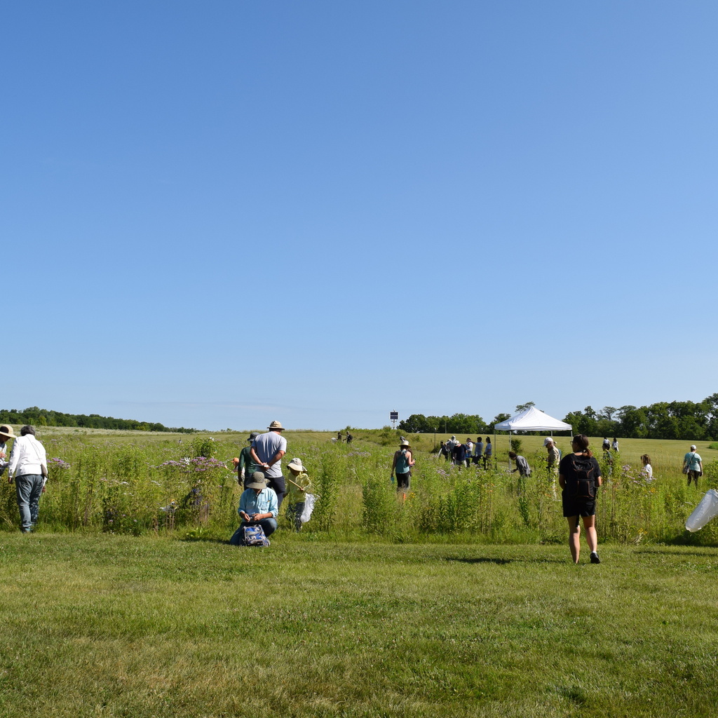 Group of people observing and exploring Ashton Prairie