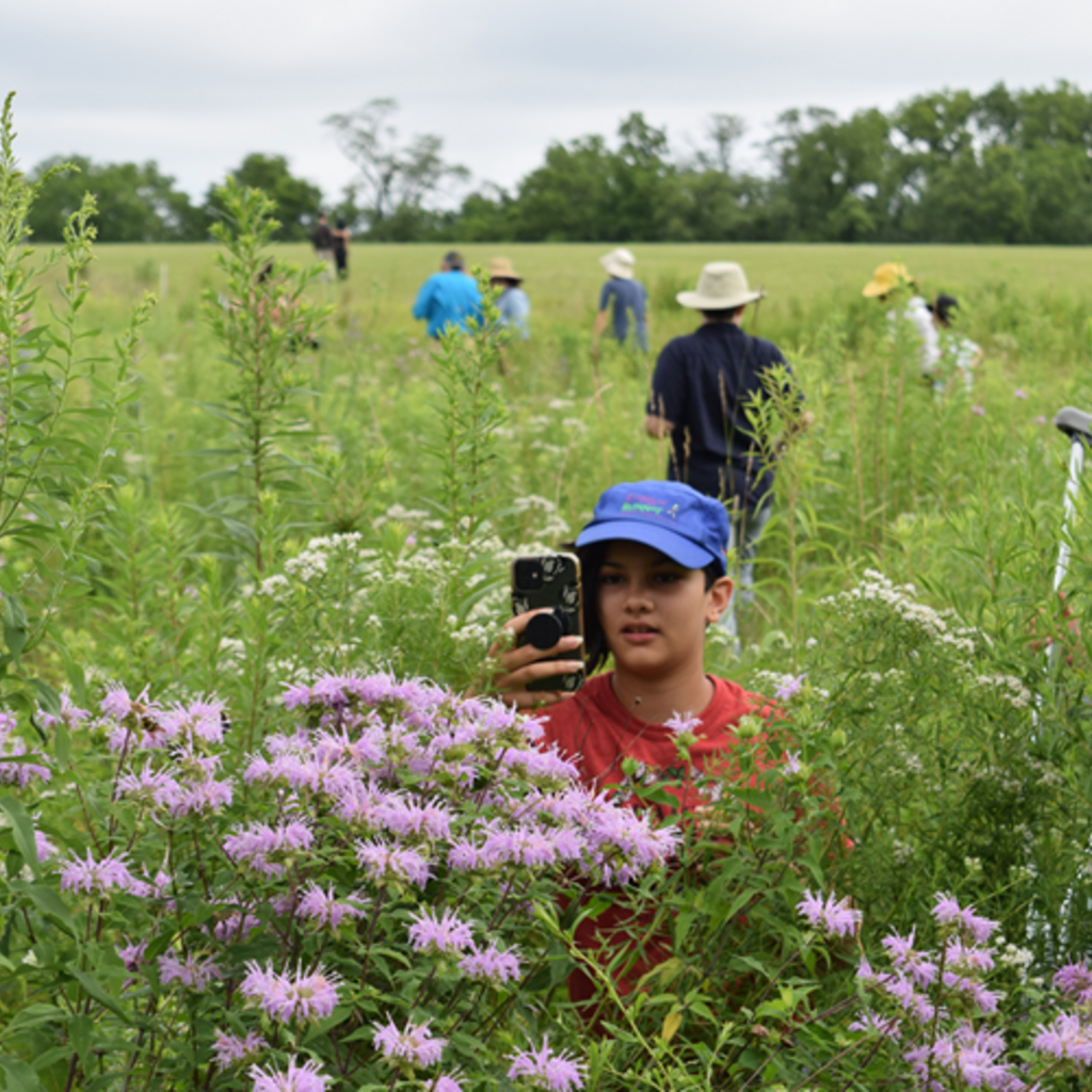 a child taking a photo of flowers in a prairie with people in the background