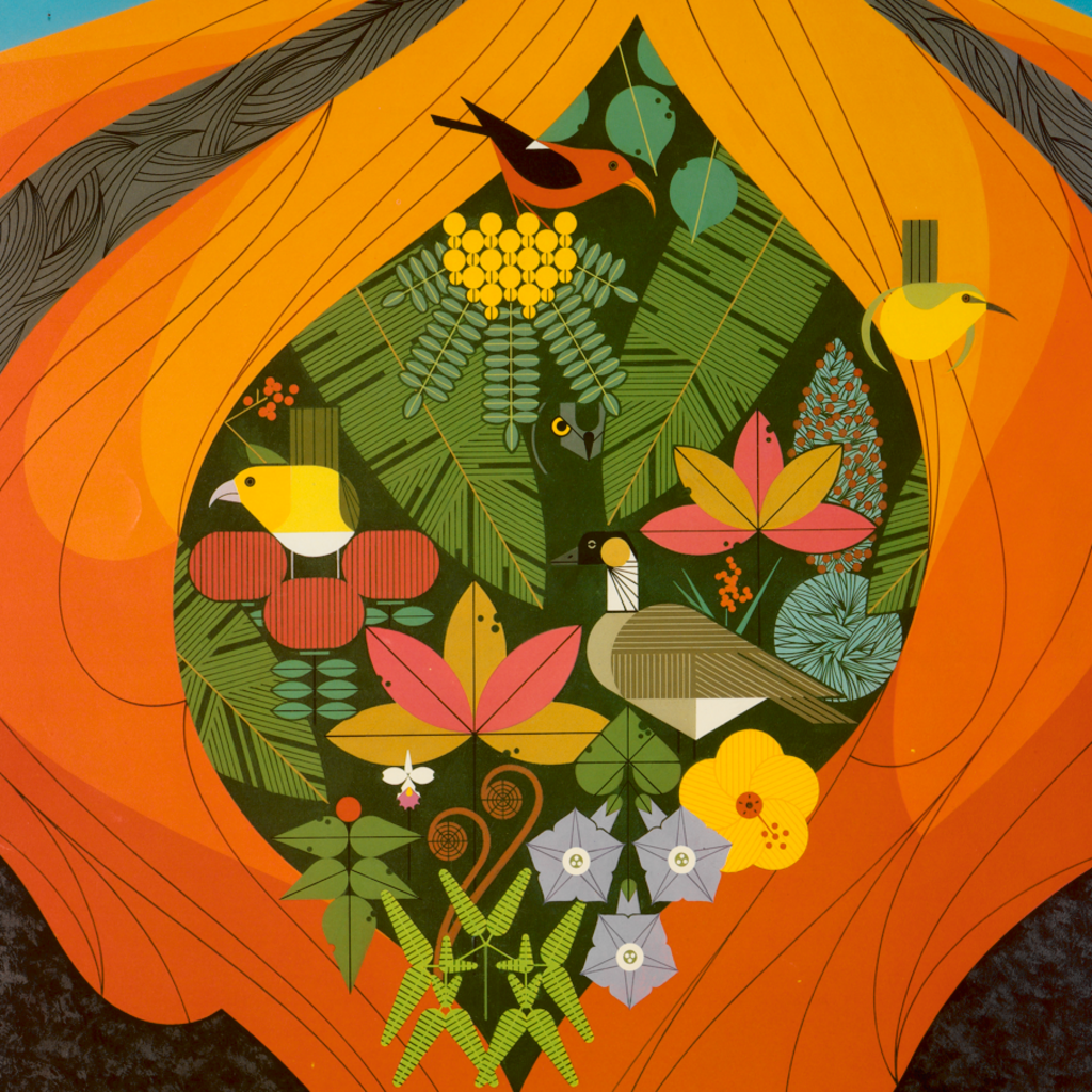 Advertising American Conservation: A Pop-Up Display promotional image