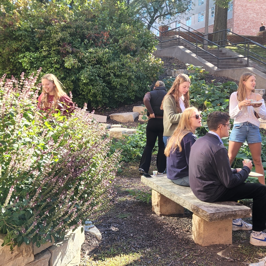 North Hall Garden Party promotional image