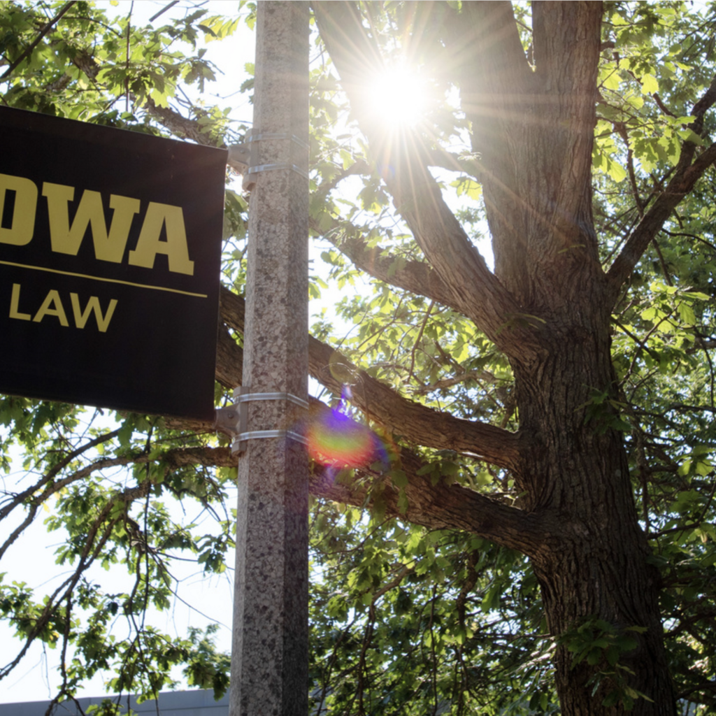 Student Stories: Reflections on Summer Environmental Law Internships promotional image