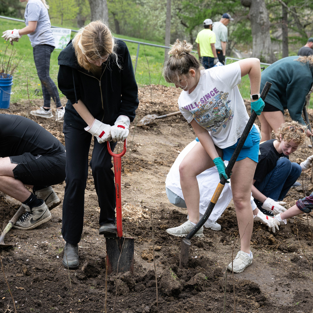 Miyawaki Forest Tree Planting 2.0 promotional image