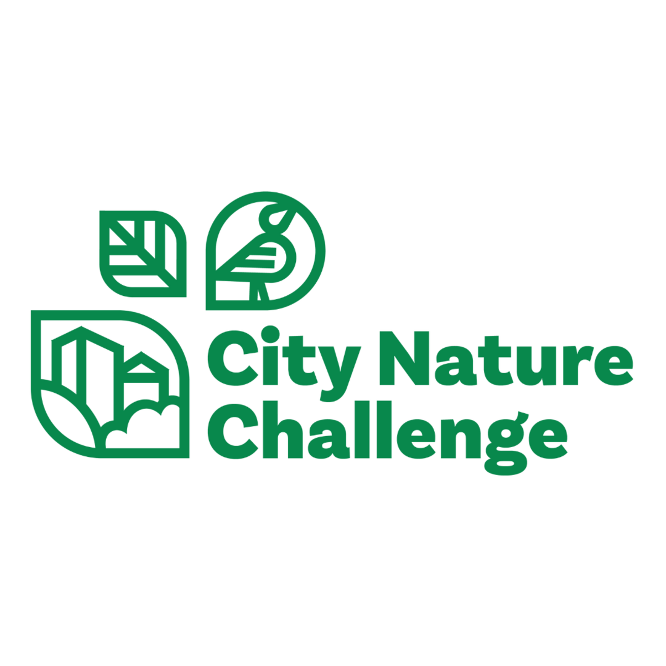 City Nature Challenge logo - green square