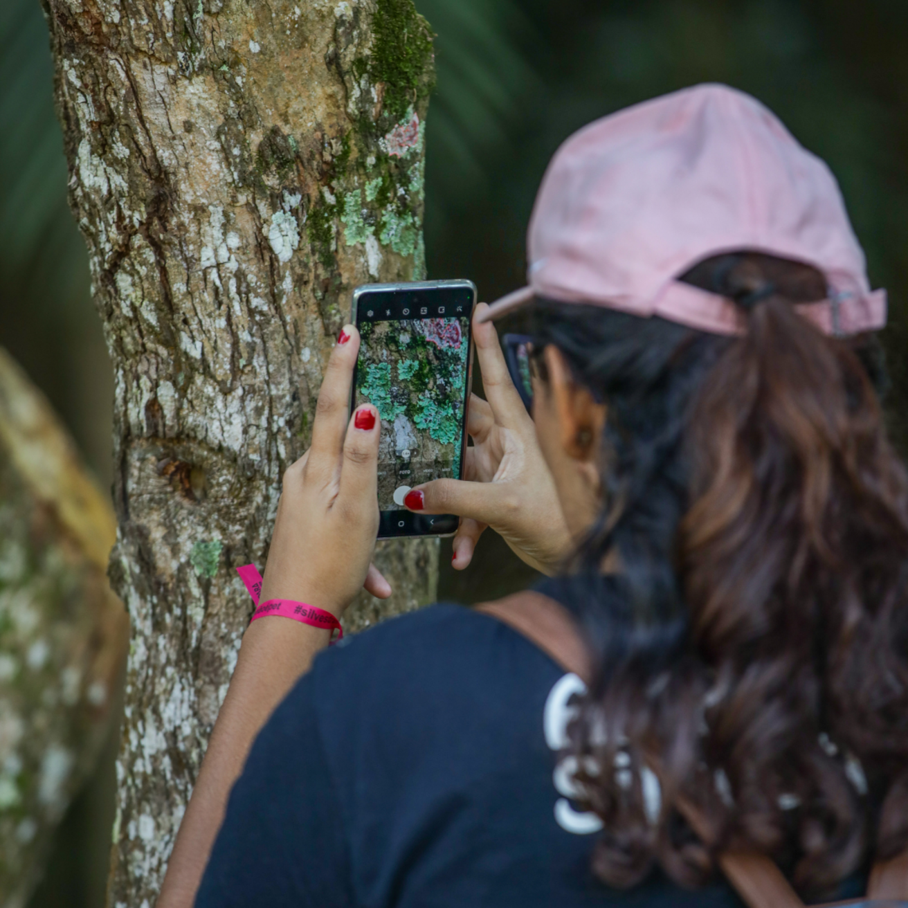 iNaturalist City Nature Challenge - tree square