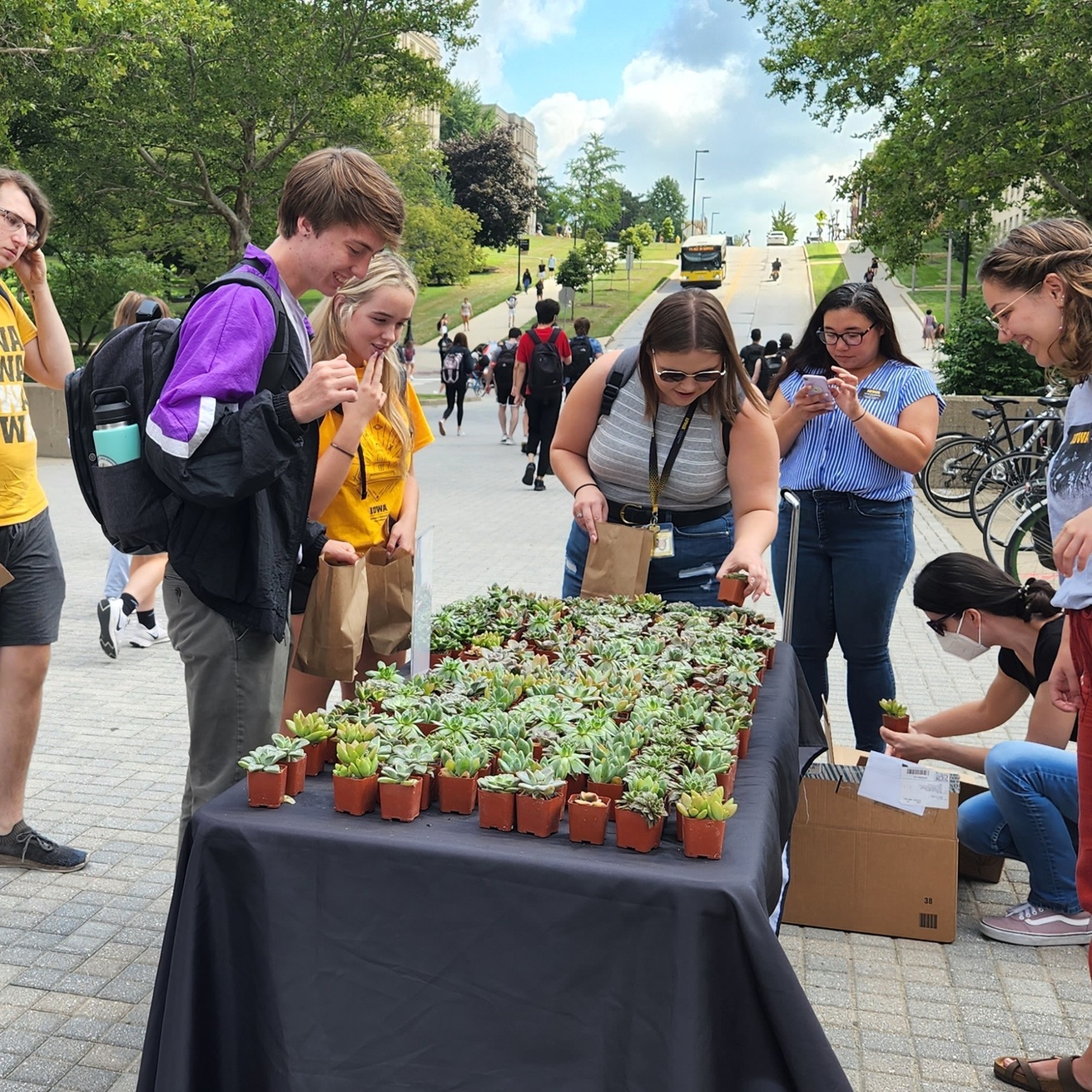 Office of Sustainability staff give away plants at UI Library patio