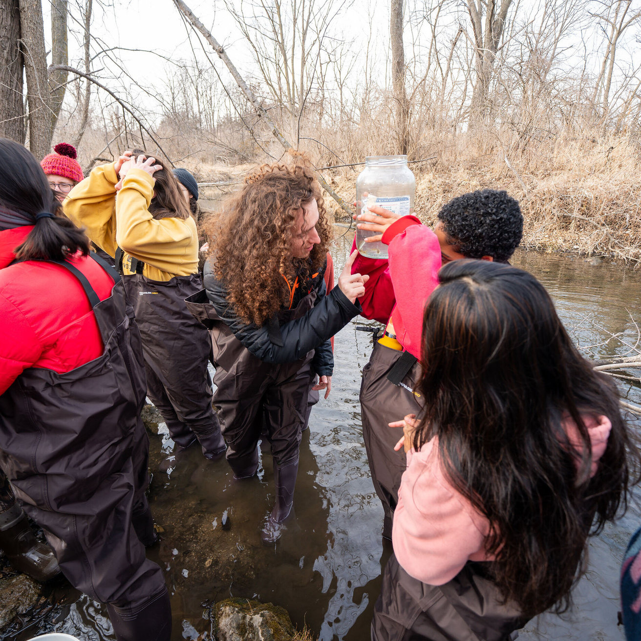 Students looking at a water sample while wading in a stream