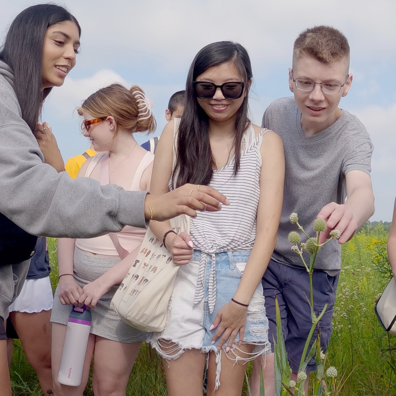 Students looking at plants in the Ashton Prairie during OnIowa