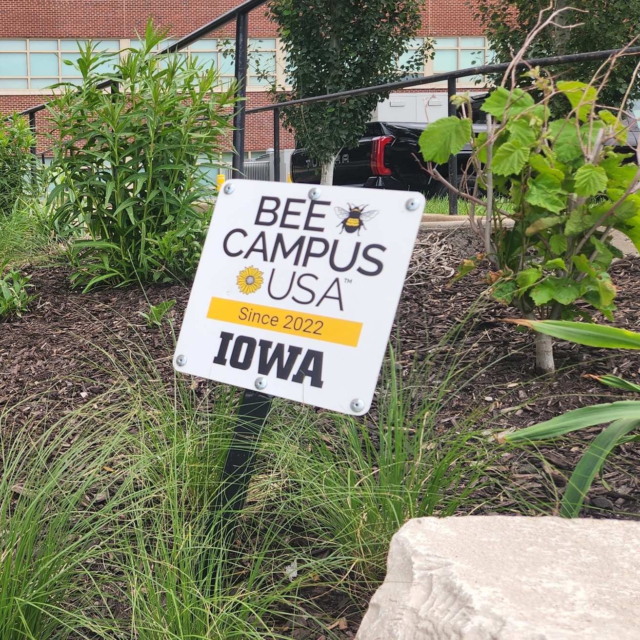 Bee campus sign in front of pollinator garden at Catlett/Chemistry