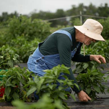 Grow Johnson County Volunteer