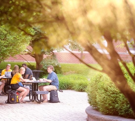Students sitting at table around trees outside in summer