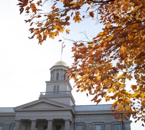 A maple tree is seen in front of the Old Capitol on Monday, Nov. 8, 2021.