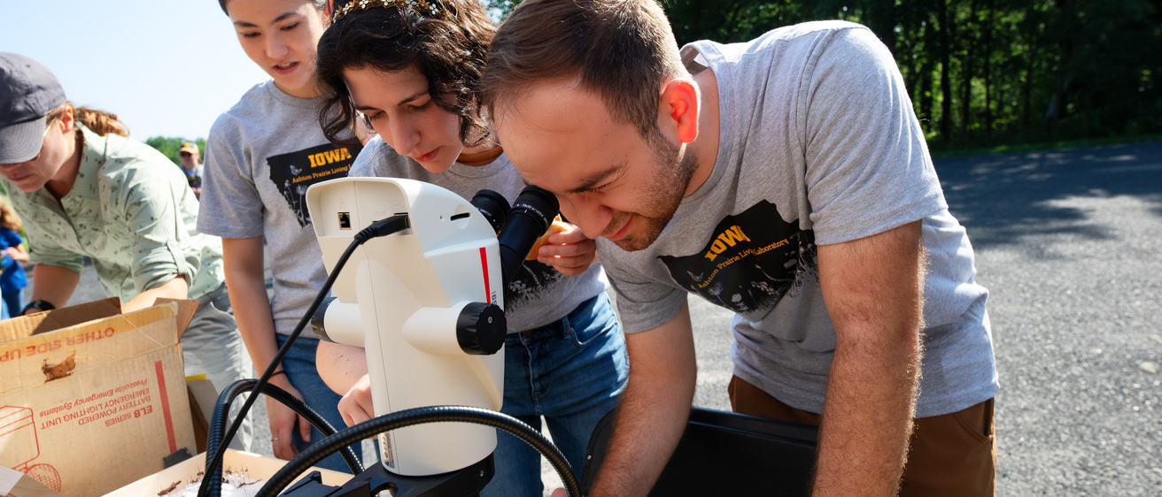 Students looking at insects through a microscope