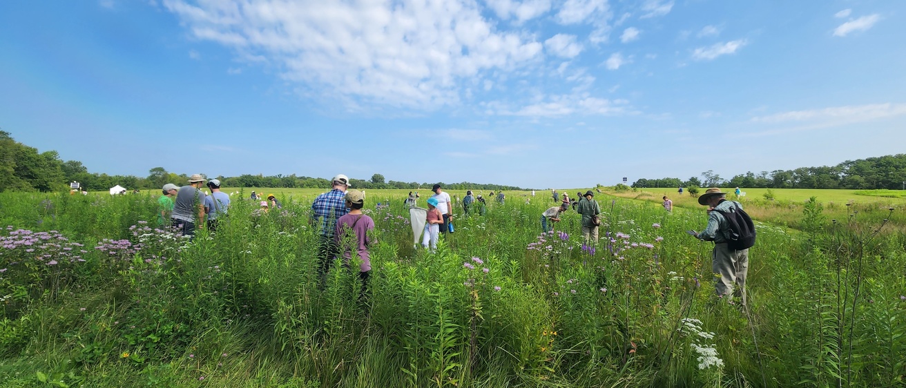 People wandering in the prairie
