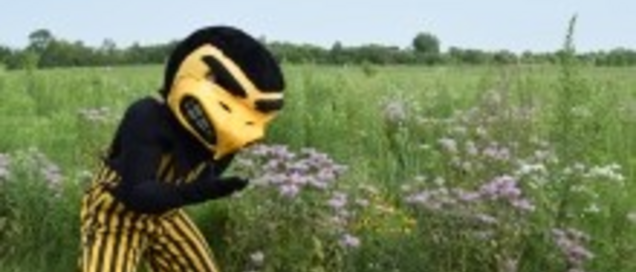 Garden Walks with Judy Herky Visits the Prairie
