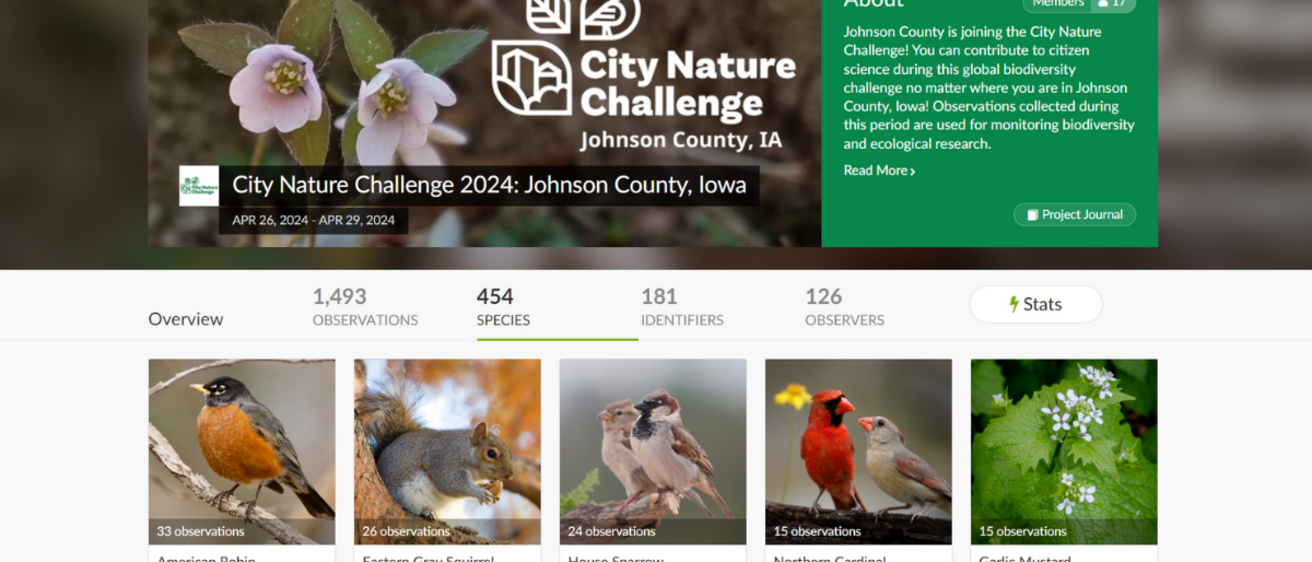 Johnson County Contributes to Record-Breaking Global BioBlitz
