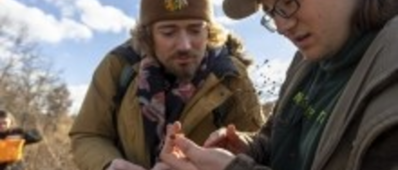 Students Restoring Prairies Across Iowa City Photo
