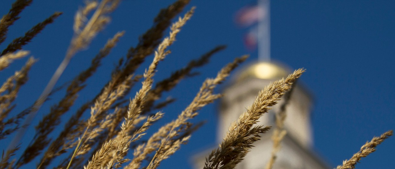 Sustainable Women's History at the University of Iowa Photo