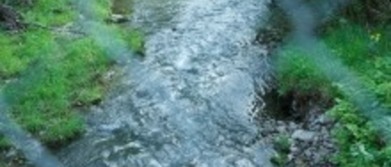 College of Law Events to Explore Environmental Law Topics